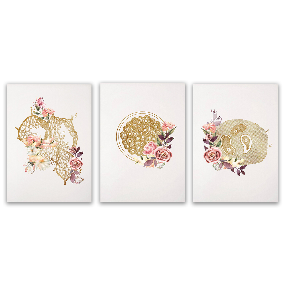 Medical Lab Officer - Microbiologist lab technician gift office decor,