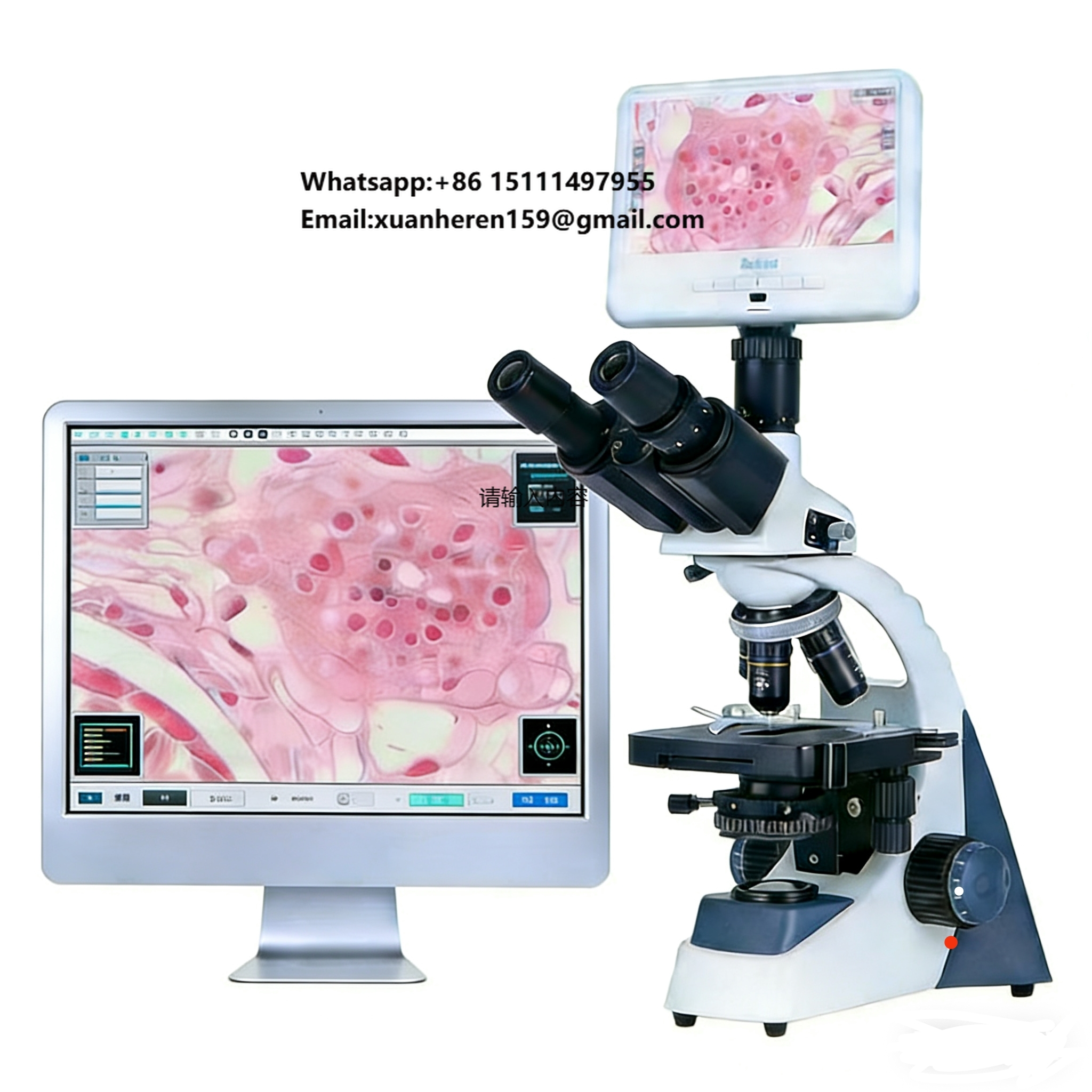 Digital Microscope - Binocular Biological Digital Video Microscope Display