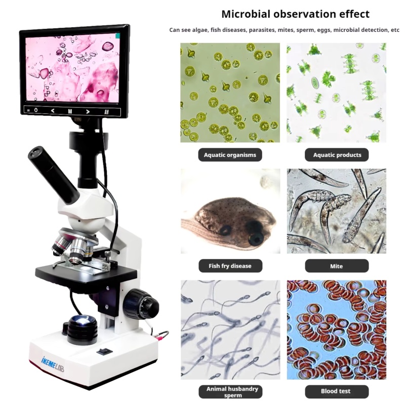 WEIAI 7 inches Digital Microsc - Digital Microscope incelemesi ve fiyatı